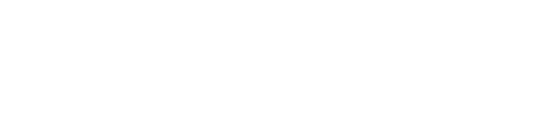 ABOUT LEIN CLINIC